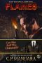 [Special Agent BDSM 03] • Flames (A Special Agent Novel Book 3)